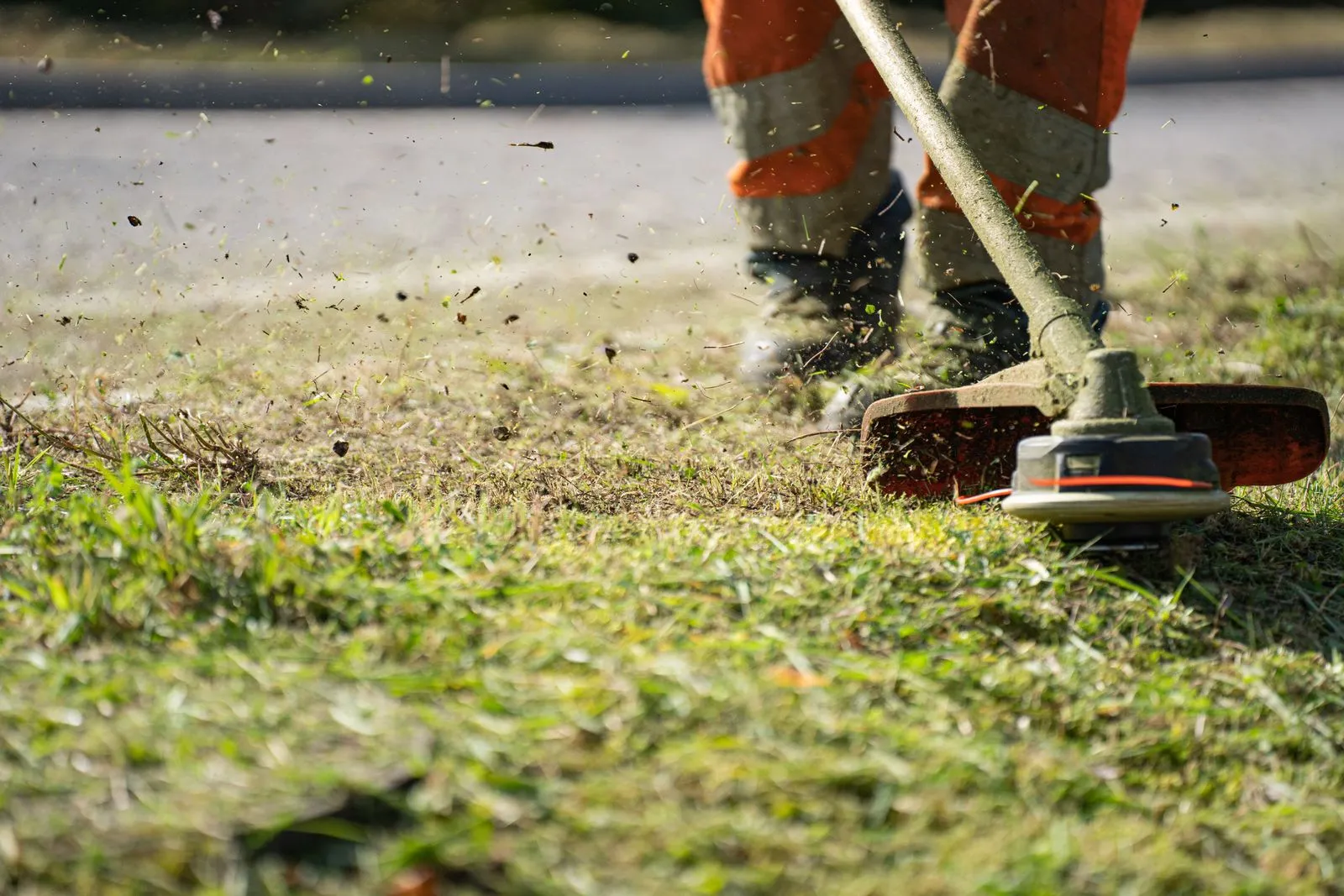 Brush-cutter head cutting grass, clippings flying