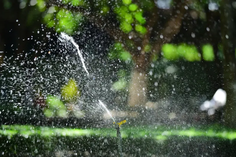 Sprinkler watering a lawn, droplets backlit