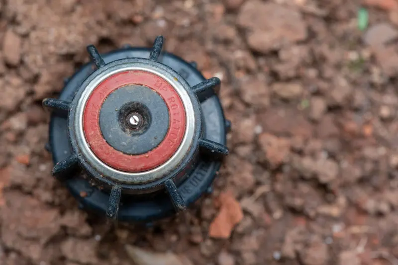 Pop-up sprinkler head installed in soil, seen from above