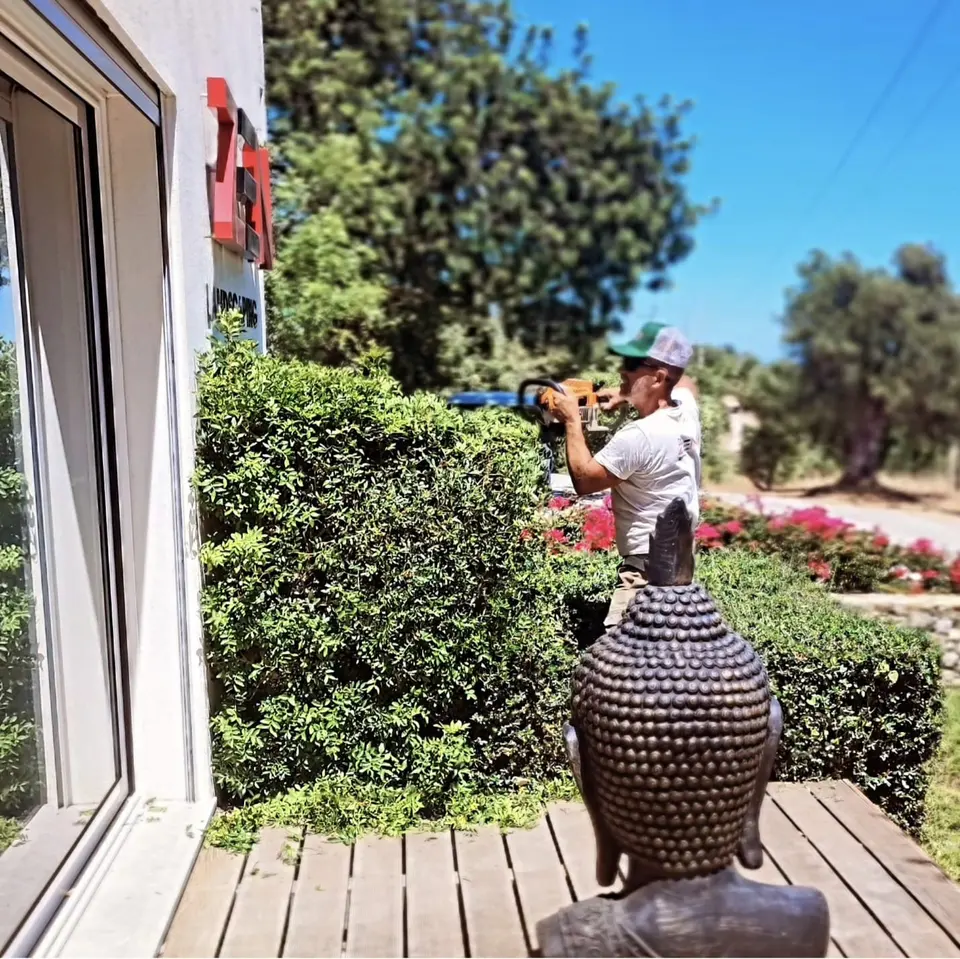 Gardener trimming a hedge beside a timber deck with a Buddha statue