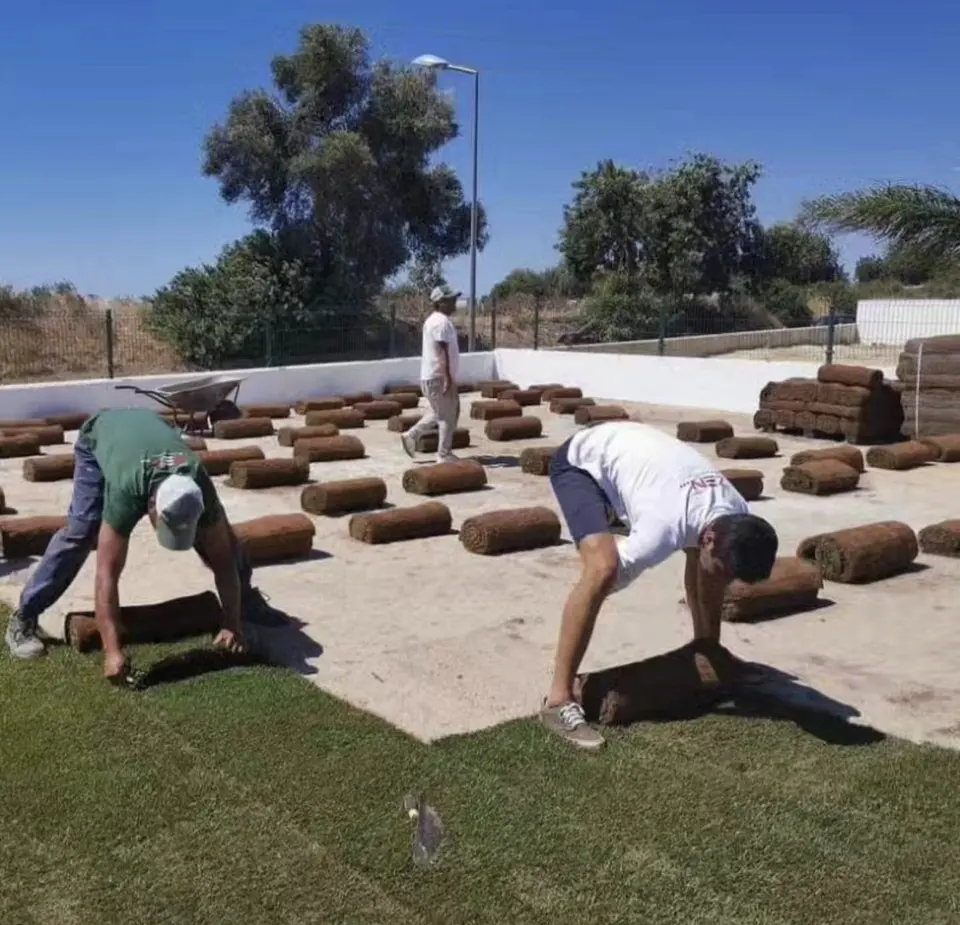 Team unrolling turf rolls in a garden under construction